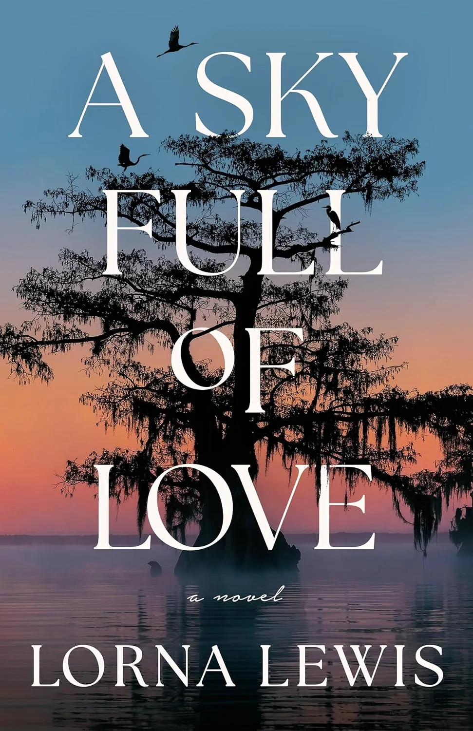 A Sky Full of Love: A Novel Paperback  June 1, 2025