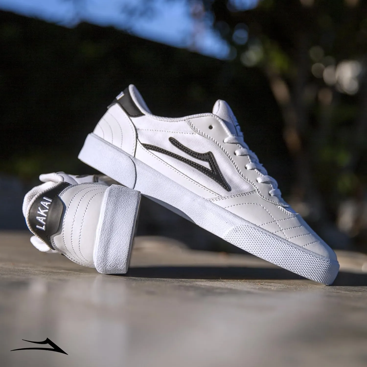 Lakai Mens Cambridge Low-Top Skateboarding Shoe